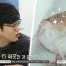 솔리드옵티크 네이버블로그