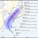 타파 이미지