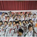 용인대우리태권도 이미지