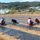 도시농부 - 양주시 외미로20번길 25-14 | 도시농부