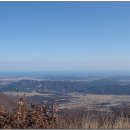 비학산4코스정상 이미지