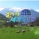 파라오 Queen 이코노미퀸