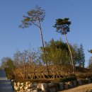 창원대로-2 이미지