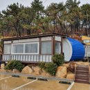 365울산누리팜 | [리뷰] 울산 주전 펜션 - 주전몽돌해변 근처 숙소를 찾는다면? '365누리팜 펜션' 후기