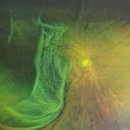 연수리더스내과의원 이미지