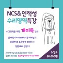 NCS 개이득 문제풀이!!