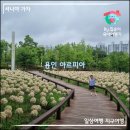 낙동강체육공원 인라인스케이트장+게이트볼장 | 산책 삼아 가기 좋은 용인 아르피아 수국정원 &amp; 축구장