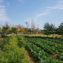 도심경로당 이미지