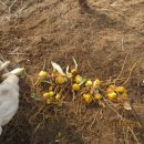 마산면사무소 앞 이미지