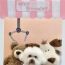 미코 그루밍 이미지