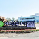 복숭이하우스_제주의시간은느리다