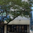 카페소동 | [옥포] 옥포동 베이글, 브런치 카페 / 베이글소동 내돈내산 후기