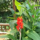 베짱이정원 이미지