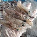 한치로1 이미지