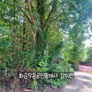 무등요양병원 이미지