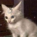 대방스포츠센타 이미지