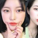 세젤예뷰티 인사이트