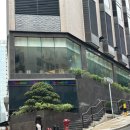 공원마트 | 홍콩 구룡공원 산책 &amp; 베스트마트360에서 만난 립톤 밀크티 골드 후기