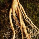 신통약국 이미지