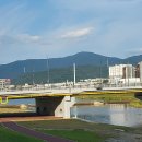 공단로가로수 이미지