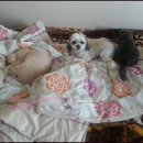 마린숲 동물병원 이미지