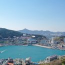 장승포마을관리 사회적협동조합 이미지