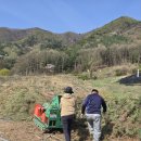 큰골농장 이미지