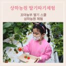 꼬마농부 방앗간 | 상하농원 딸기따기 체험 꼬마농부 딸기스쿨 솔직후기