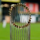 (주)마켓월드 이미지