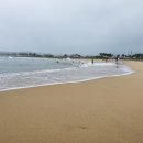 물치해수욕장 화장실 이미지