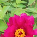 영랑생가안내소 이미지