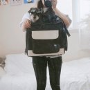 로얄가방
