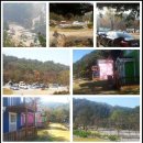 자일랜드 이미지