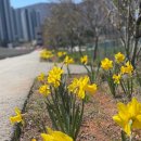 용산천 이미지