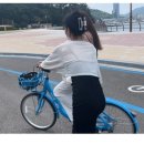 노랑고래