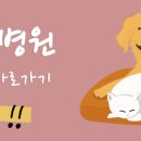 세종동물병원 이미지