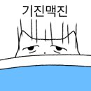 강성갈비