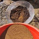 스팀 처리한 개다래(충영)과 토사자--＞충영은 쪄야 옳은 약성이 있습니다. 이미지