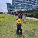 모비딕디자인 | 기장 아난티앳 부산 코브 모비딕마켓 후기, 인생샷 나오는 곳 강력추천