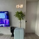 토모트래블 이미지