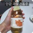 전통주 과실주 호감 소주 감으로 만든 술 솔직 리뷰