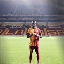 낙동강오리알 이미지