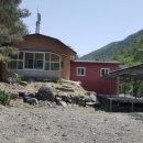 대성사슴농장 이미지