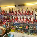 할리베어 이미지