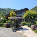 의령오리탕 이미지