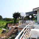 대포 해송횟집 이미지