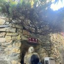 부산 기장 해동용궁사 후기 부산 여행 필수코스 추천
