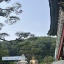 약천사 - 1005 | 평일 파주 약천사 방문 후기