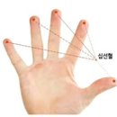 고려수지침 이미지