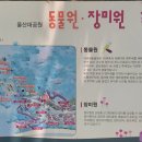 장미원내부 이미지